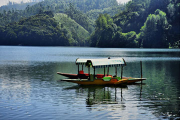 Munnar Local Sightseeing